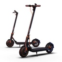 NINEBOT BY SEGWAY KICKSCOOTER F40